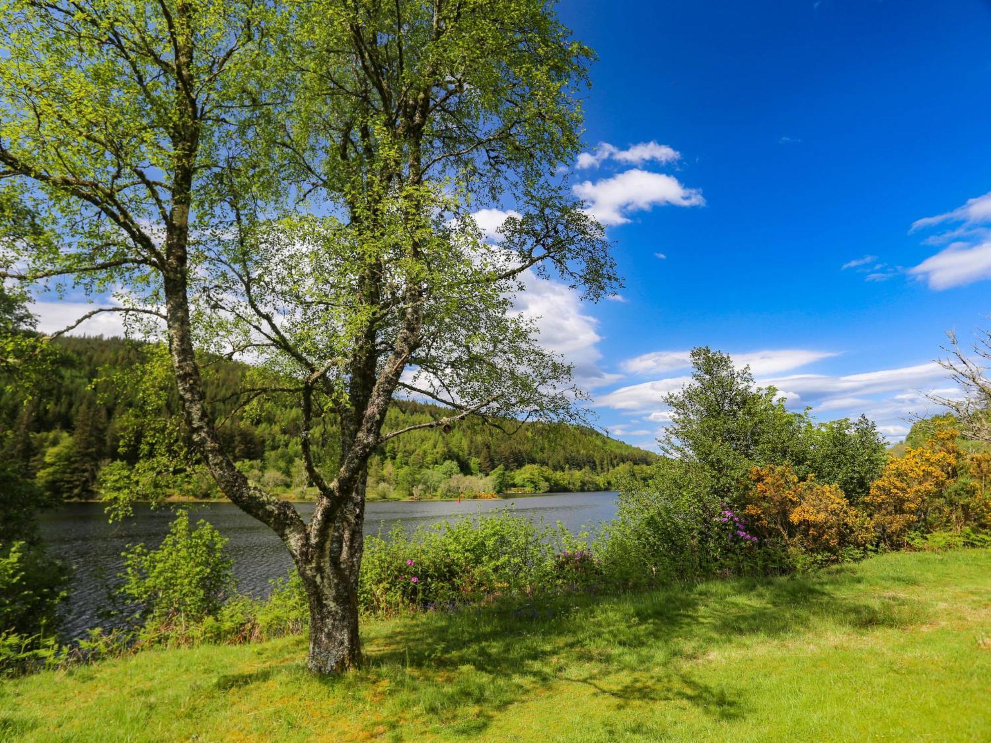 Chalet Lodge 4 By Interhome Spean Bridge Eksteriør billede